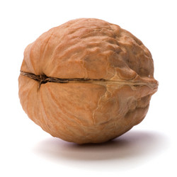 Similar image 2960334