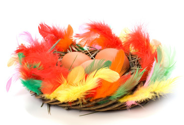 Similar image 2960339