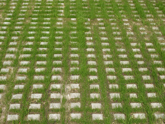 Similar image 2960420