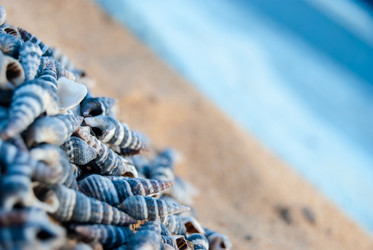 Similar image 2960576