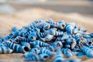 Similar image 2960579