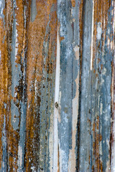 Similar image 2960583