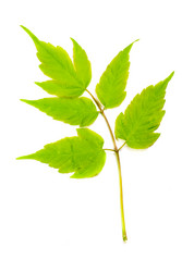 Similar image 2960585