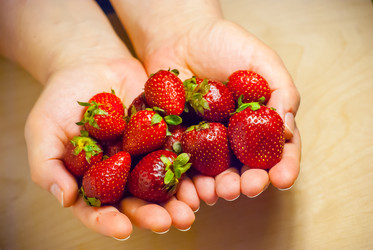 Similar image 2960589