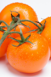 Similar image 2960593