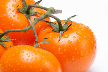 Similar image 2960596