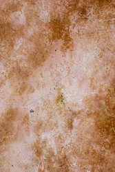 Similar image 2960599