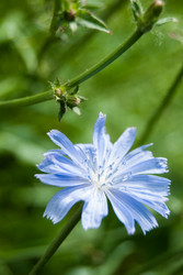 Similar image 2960603