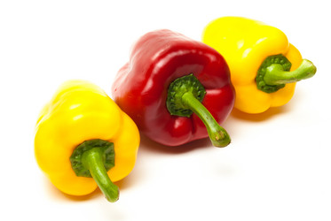 Similar image 2960604