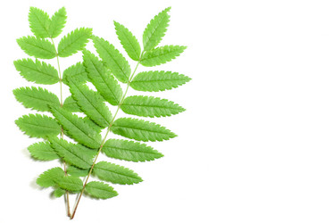 Similar image 2960607