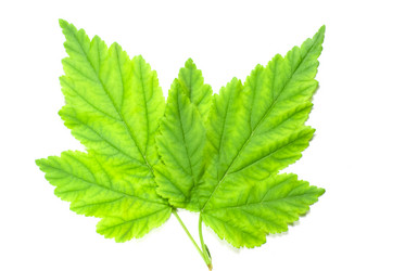 Similar image 2960608