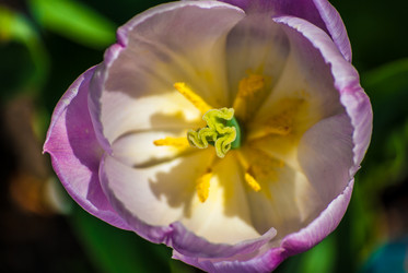 Similar image 2960629