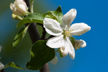 Similar image 2960632