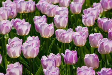 Similar image 2960633