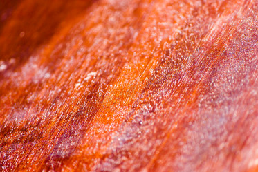 Similar image 2960635