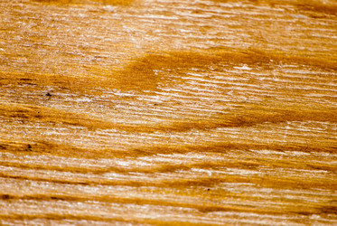 Similar image 2960639