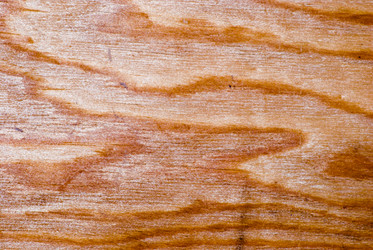 Similar image 2960640