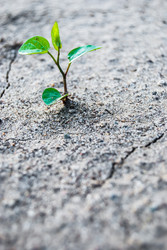 Similar image 2960641