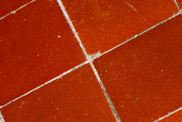 Similar image 2960646