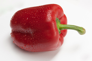 Similar image 2960652