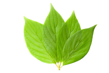 Similar image 2960653