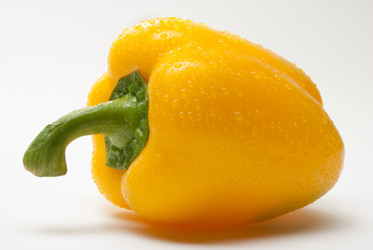 Similar image 2960655