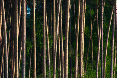 Similar image 2960657