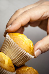 Similar image 2960659