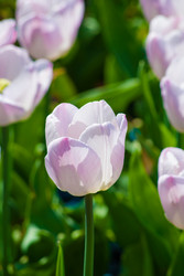 Similar image 2960660