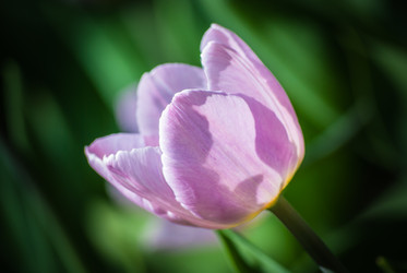 Similar image 2960677