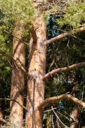 Similar image 2960683