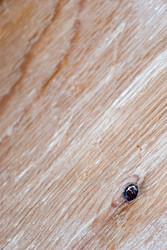 Similar image 2960696