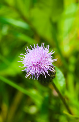 Similar image 2960702