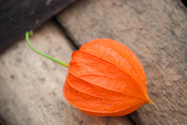 Similar image 2960703