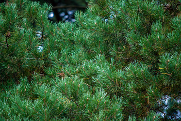 Similar image 2960704