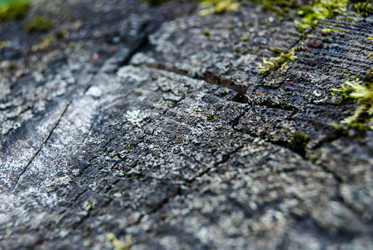 Similar image 2960714