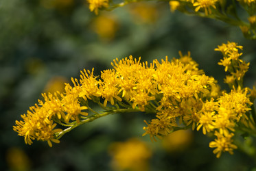 Similar image 2960721