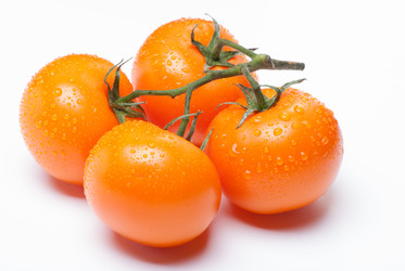 Similar image 2960735