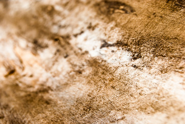 Similar image 2960739