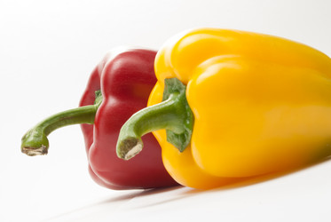 Similar image 2960755