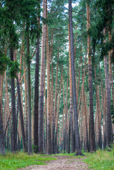 Similar image 2960768