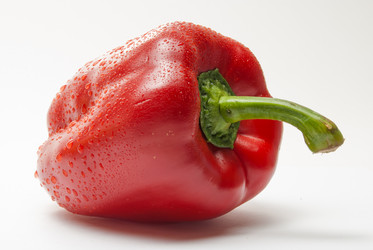 Similar image 2960771