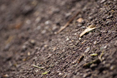 Similar image 2960784