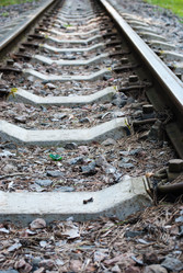 Similar image 2960787