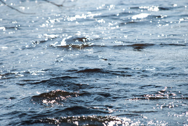 Similar image 2960831