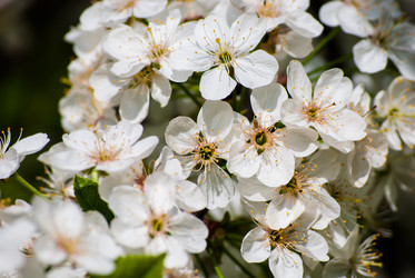 Similar image 2960836