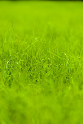 Similar image 2960840