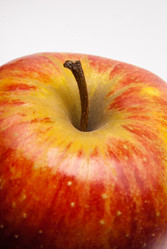 Similar image 2960850