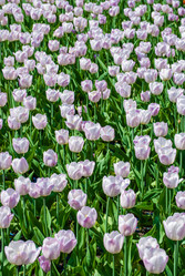 Similar image 2960857