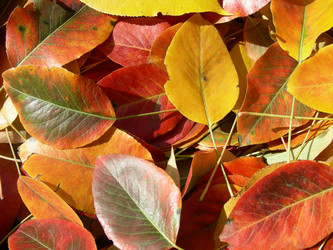 Similar image 2960868